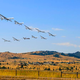 Illustration for article titled Obama Clears 2,000 Square Miles Of U.S. Airspace For New Free-Range Drone Preserve